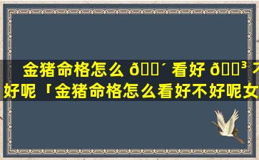 金猪命格怎么 🐴 看好 🌳 不好呢「金猪命格怎么看好不好呢女生」